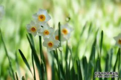 冬天你会注意这些点，花很容易过冬。