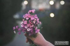 处理病虫害的植物必须“被摧毁”。学习这些技