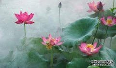 我明白这叫做莲花法！