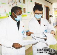 来自中国的同事：新来的人是“新的冰雪屋”还