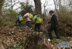河南南阳人外出：12岁的孩子可以开车上路，叉车