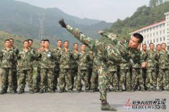 现任新兵和前退伍军人之间有什么区别？