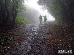 雨下雨时有一些想法。