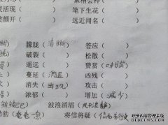 第二个字是琥珀的语言
