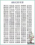 什么是“白瓦特” ABB？