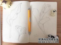 淳的意思
