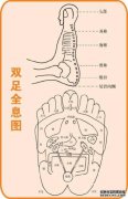 一个多星期前，我做了一次鼻子的CT扫描，并说那