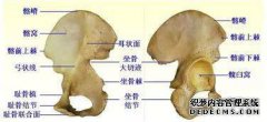 检查员用双手按压患者的两侧，作为骨盆病变的