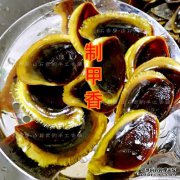 如果蜗牛走了，会死吗？