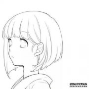[不纯]的意思