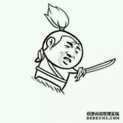 什么是广东针墨水？