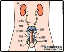 前列腺肿大有哪些症状？前列腺肿大的最初症状