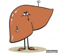他经常按五个穴位以减轻脂肪肝