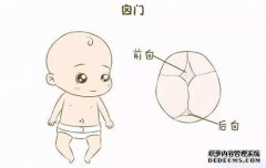 [囟门]囟门关闭时间