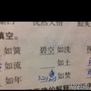 一分，一横，一词，一词和语言是：