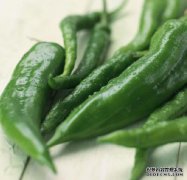 大型水果型辣椒通常不含辣椒素，而小型水果型