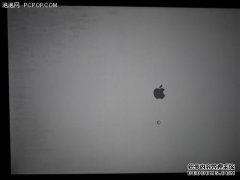 我的Apple 6sp是六个月前购买的，花了三个月才出
