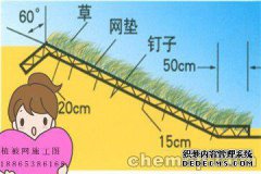 哦，美女，坠入爱河，不要去镜子里找你的意思