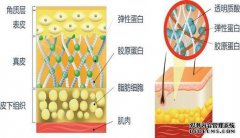 什么引起血清钾减少的疾病？