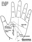 中指下的中叉是什么意思？