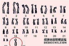 女染色体46xx1qh +