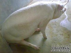 临时药物如何存在？