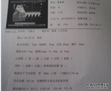 [我如何生孩子？]如何使孩子，科学方法，秘密