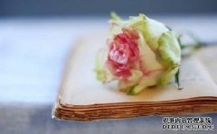 “蓝线红珠”
