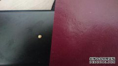 2个灰红色息肉，直径0.3-0.4CM，诊断意见：在子宫