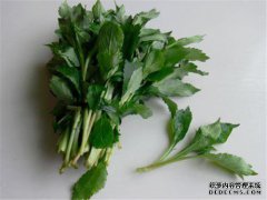 [练习苦肉丸]