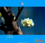 含义[浮动路径]