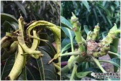 在滑行控制期间如何处理把手的4条重要原则