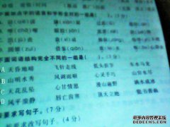 什么是语言，什么是语言？