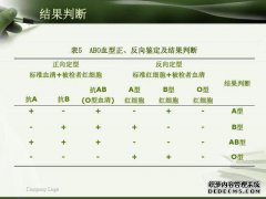 O血Rh（D）：Rh阳性（C）：Rh阳性（E）：阴性