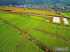 富阳市农村牙医喝醉了，连续开车两次致儿子受