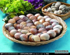 它被称为海鸡蛋，但它是海鲜，高蛋白，春季最