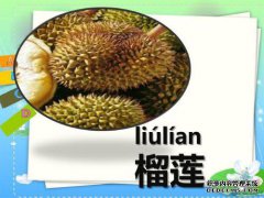 [如何吃多利安的内]