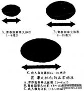 大家好，我整理后爱，有时是在测试轮一痛，我