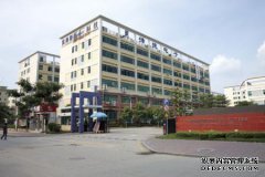 彩群科技（深圳）有限公司怎么样？