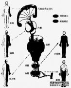 尿道怎么处理？
