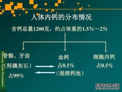 [？钙和镁离子对人体有害吗？]