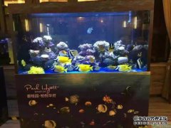 宁都海洋生物展览馆租赁孟冲展览馆租赁